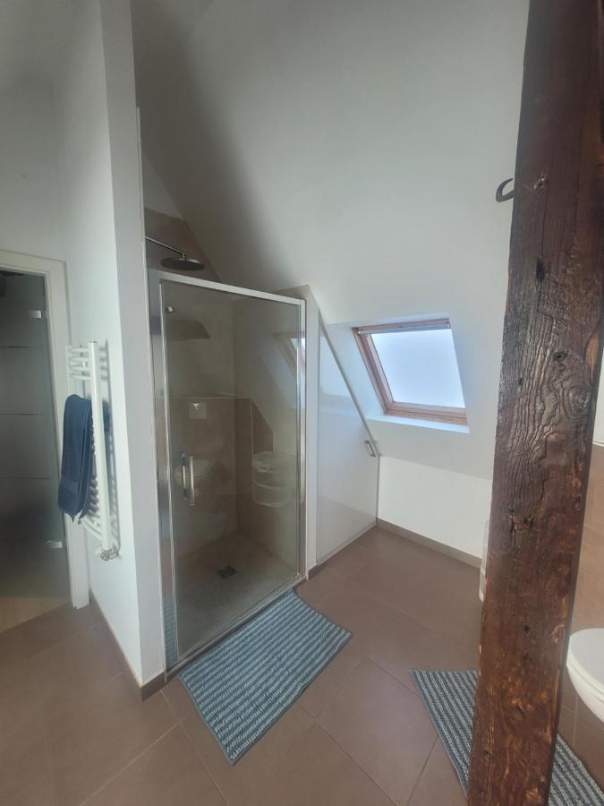 Studio 50M2 Au Bord De L'Eau A ストラスブール エクステリア 写真