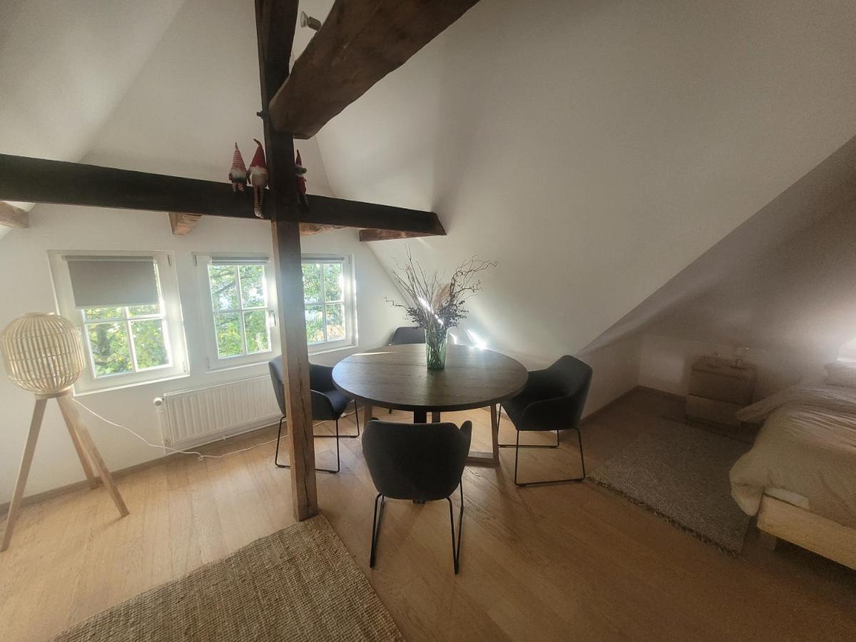 Studio 50M2 Au Bord De L'Eau A ストラスブール エクステリア 写真