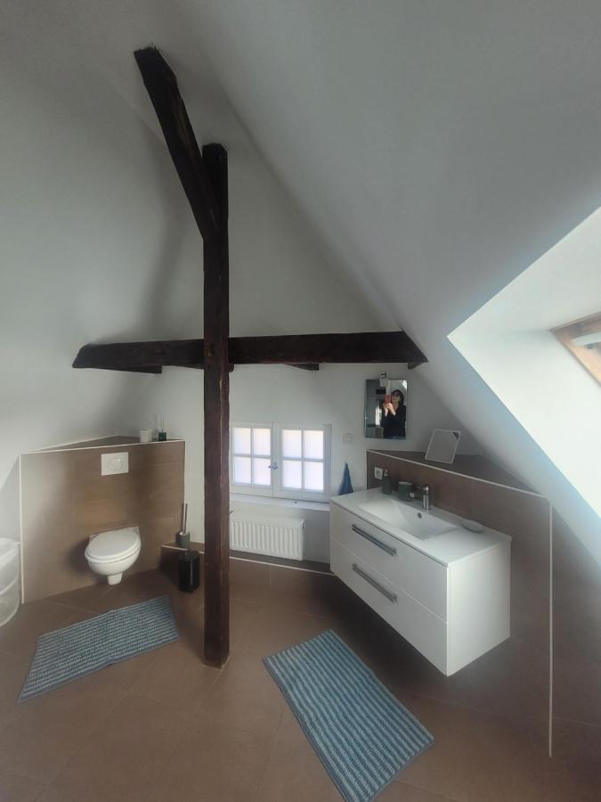 Studio 50M2 Au Bord De L'Eau A ストラスブール エクステリア 写真